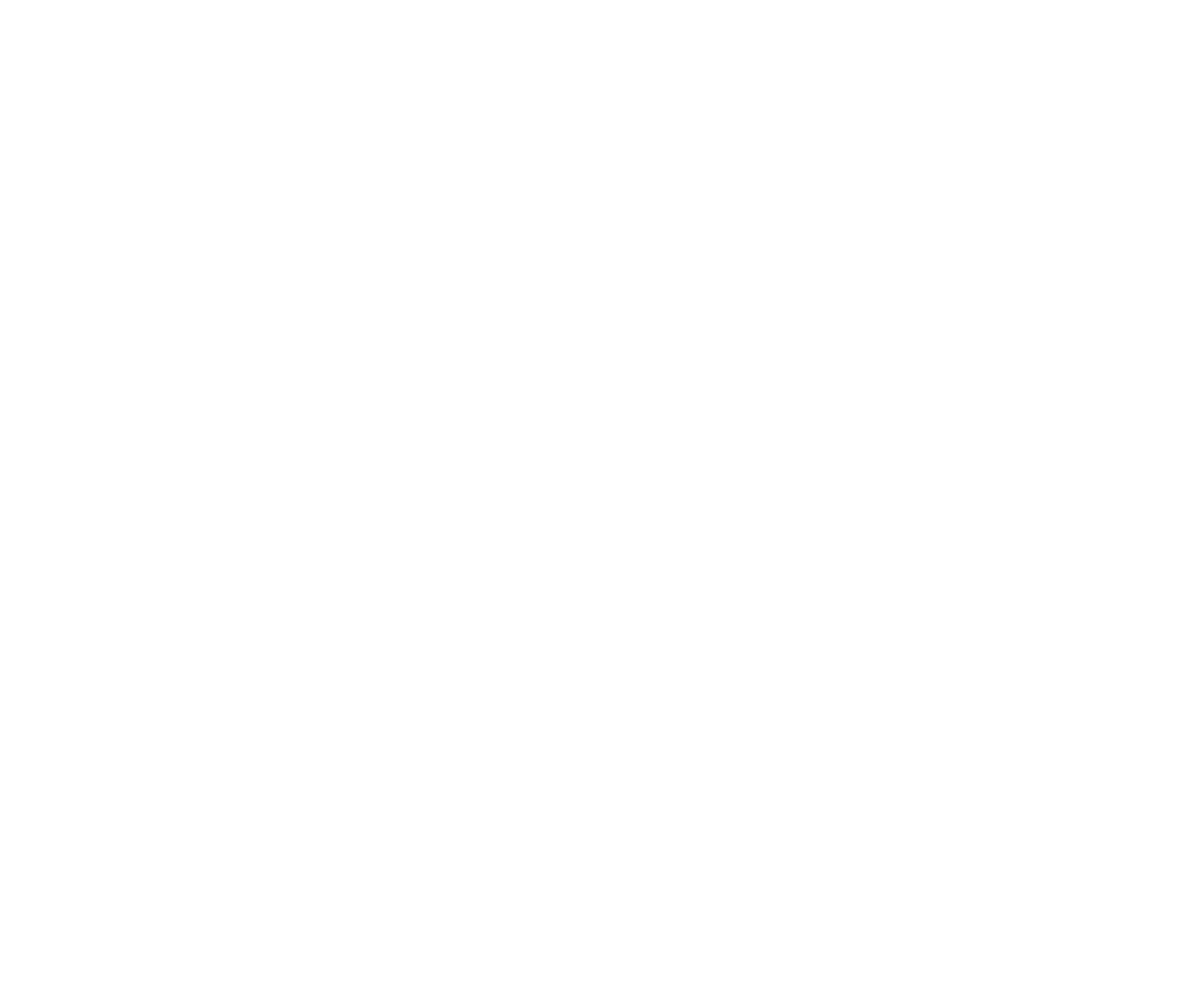 Logo Les roues de l'écureuil - Roues de vélo artisanales à Lyon